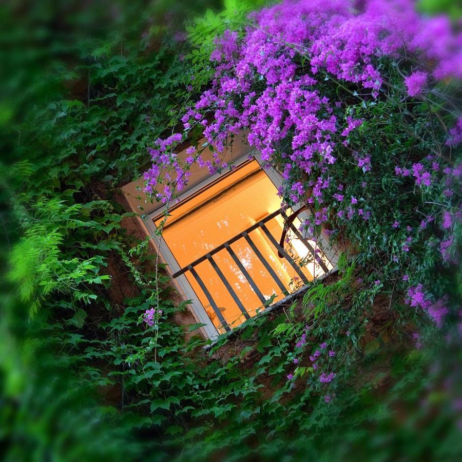 Bio Hotel Raphael - Relais & Chateaux Roma Esterno foto