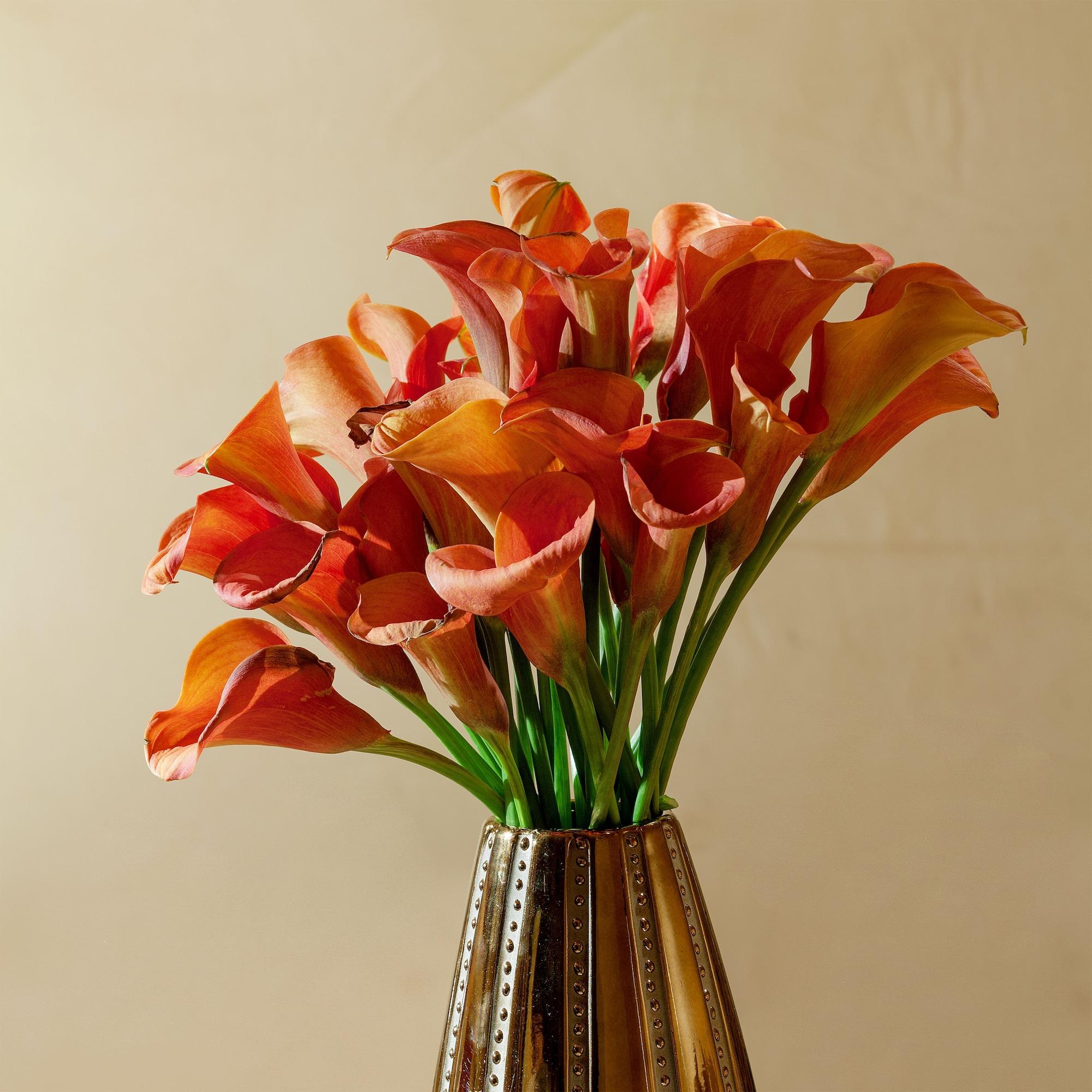 Bio Hotel Raphael - Relais & Chateaux Roma Esterno foto